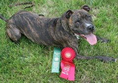 Aidan_2ndPlace_KOTC_062011.jpg
