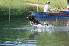 Keeper_Water_Jr_NatSpec2015.jpg